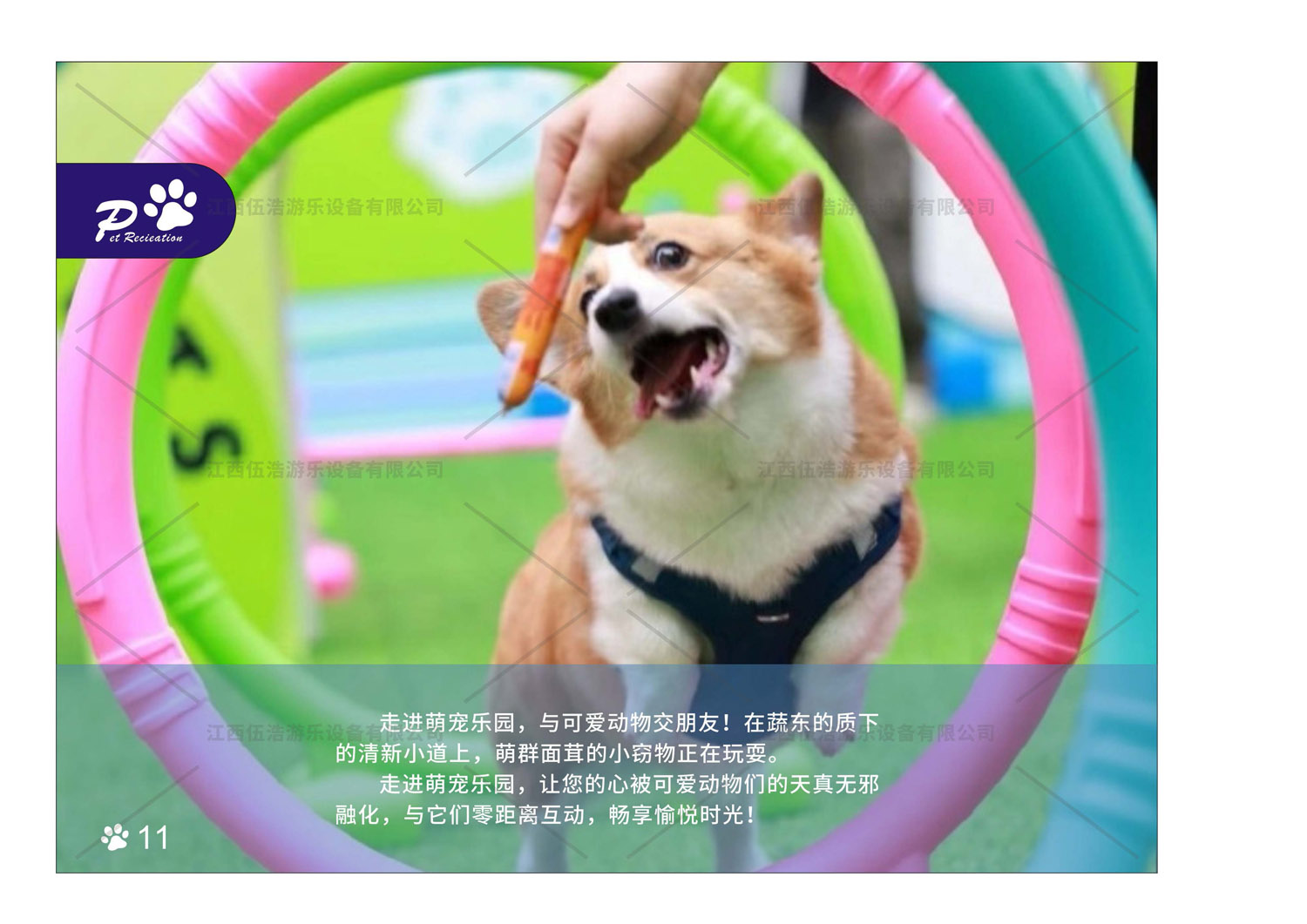宠物乐园设备13